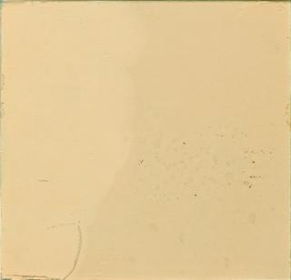 Wolfgang Laib - Blütenstaub Kiefer