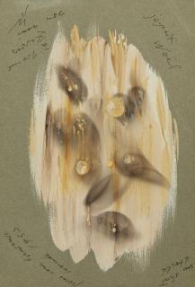 Wolfgang Paalen - Un Chat étoilé