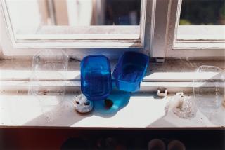 Wolfgang Tillmans - Beerenstilleben