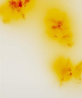 Wolfgang Tillmans - \