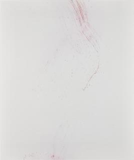 Wolfgang Tillmans - Blushes #47