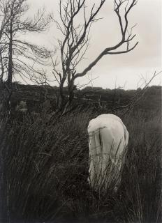 Wolfgang Tillmans - Bück Dich