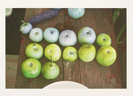 Wolfgang Tillmans - Camden still life (magenta cyan plate exchange), 2017