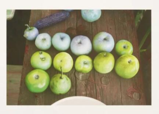 Wolfgang Tillmans - Camden still life (magenta cyan plate exchange), 2017