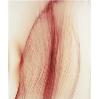 Wolfgang Tillmans - \'Doing Well\', 2001