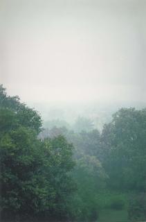 Wolfgang Tillmans - Downpour