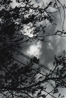 Wolfgang Tillmans - Eclipse 2-3