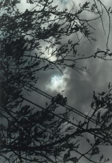 Wolfgang Tillmans - Eclipse Ii-3, 1998Chromogenic Print On Fujicolor Professional Paper. On The Reverse, Signed, Titled, Dated And Annotated In Pencil. Mounted And Framed.