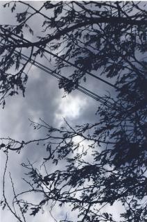 Wolfgang Tillmans - Eclipse II-3