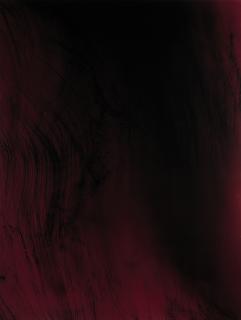 Wolfgang Tillmans - Einzelgänger IV