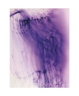 Wolfgang Tillmans - Freischwimmer 102