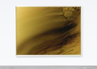 Wolfgang Tillmans - Freischwimmer 119