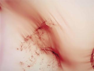 Wolfgang Tillmans - Freischwimmer 120