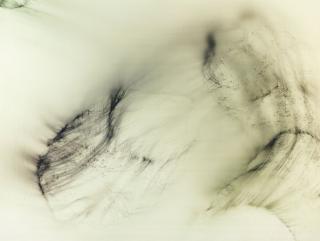 Wolfgang Tillmans - Freischwimmer 140