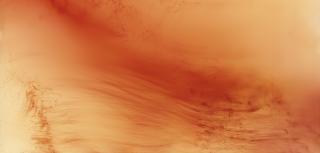 Wolfgang Tillmans - Freischwimmer 144