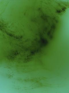 Wolfgang Tillmans - Freischwimmer 193