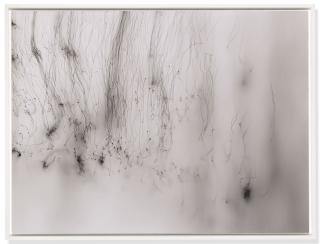 Wolfgang Tillmans - Freischwimmer 207