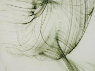 Wolfgang Tillmans - »Freischwimmer 46\