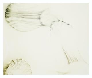 Wolfgang Tillmans - Freischwimmer 62