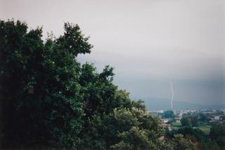 Wolfgang Tillmans - Group of four chromogenic prints, 2002