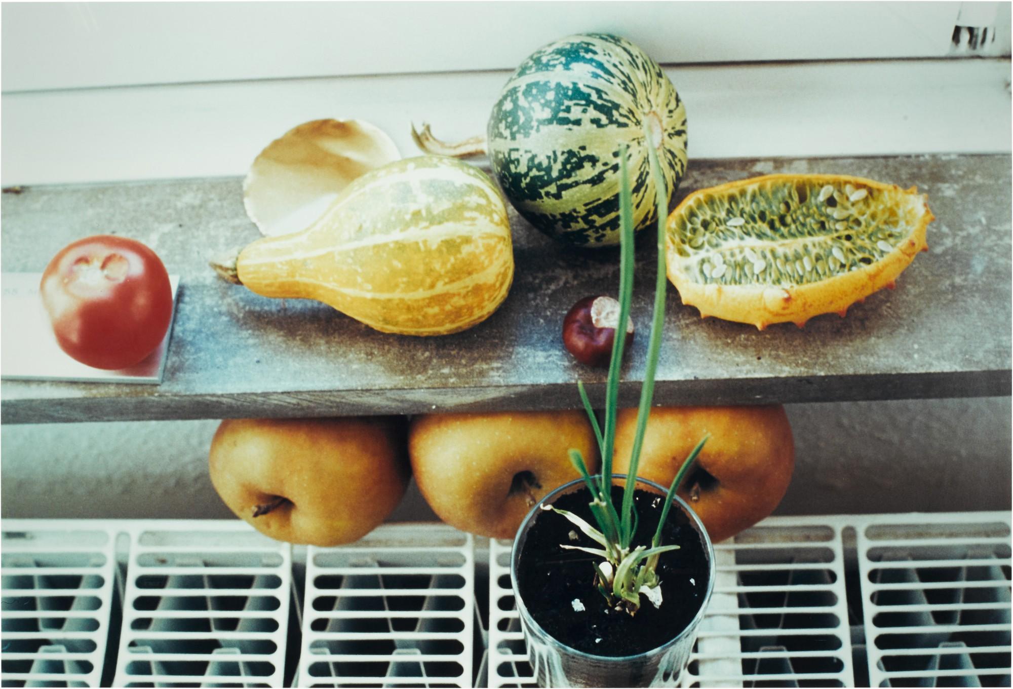 Wolfgang  Tillmans - K5