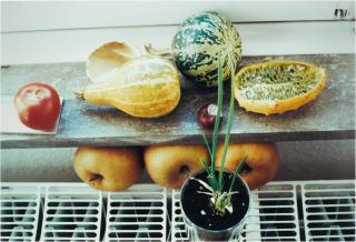 Wolfgang  Tillmans - K5