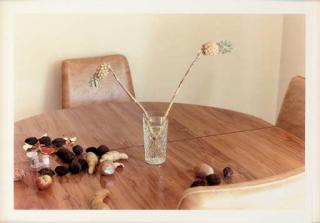 Wolfgang Tillmans - L.A. Still Life
