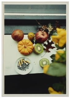 Wolfgang Tillmans - Last Still-Life, Ny
