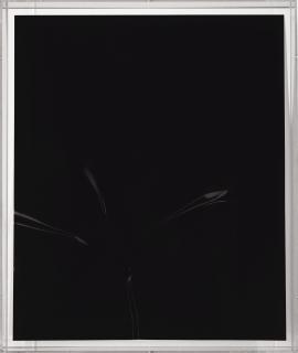 Wolfgang Tillmans - Lighter, Black Iii