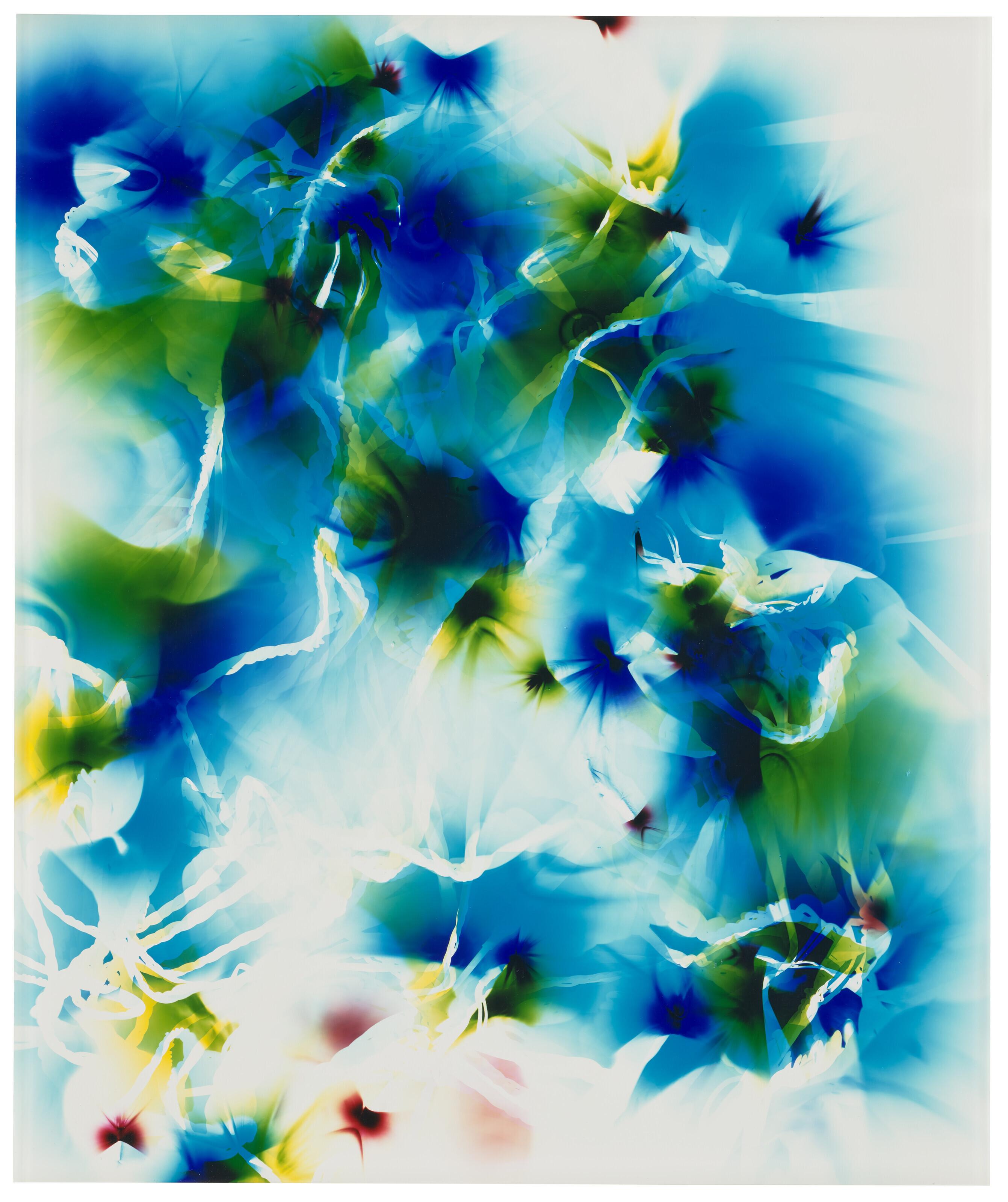 Wolfgang Tillmans - Mental Picture # 66