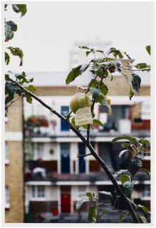 Wolfgang Tillmans - Please Leave This One, 2006