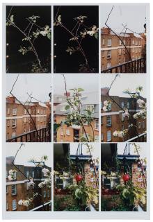 Wolfgang Tillmans - \