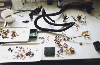 Wolfgang Tillmans - Sammlung