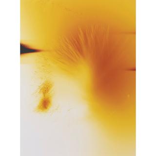 Wolfgang Tillmans - Spiel