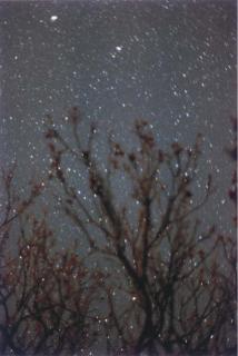 Wolfgang Tillmans - Sternenhimmel, 1995