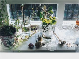 Wolfgang Tillmans - \'Still Life, Bourne Estate\', 2002
