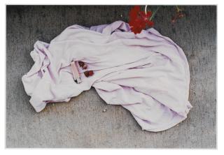 Wolfgang Tillmans - Stilleben Nüsschen Ii