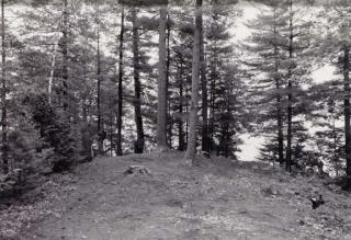 Wolfgang Tillmans - The Point II