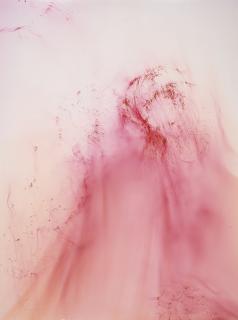 Wolfgang Tillmans - Urgency Viii
