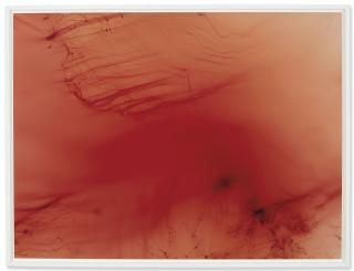 Wolfgang Tillmans - Urgency XII