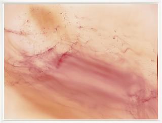 Wolfgang Tillmans - Urgency XVI