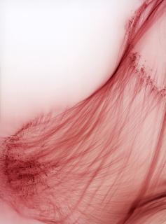 Wolfgang Tillmans - Zero Gravity V