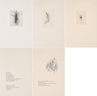 Wols - Geh durch den Spiegel 4.