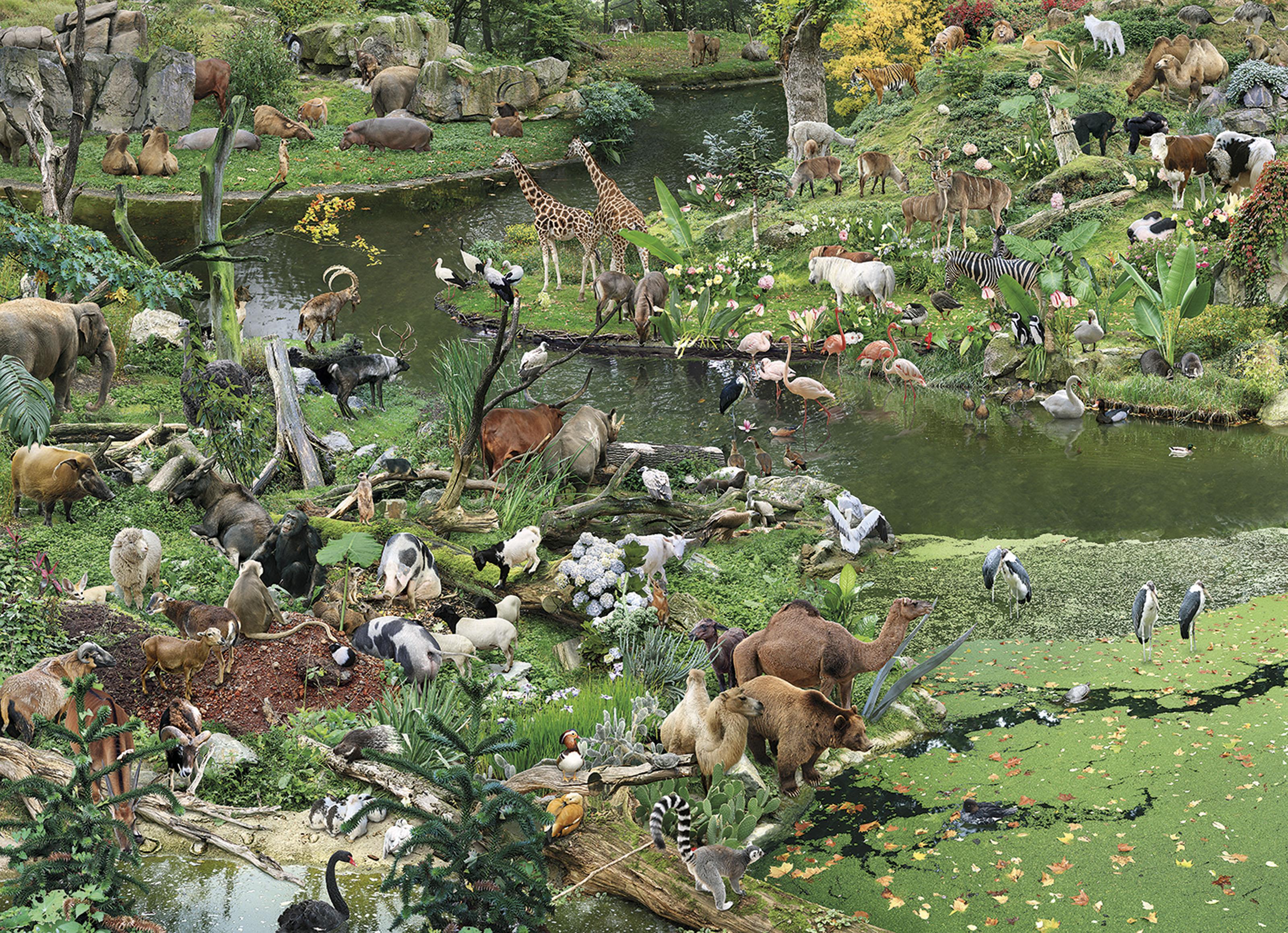 Won Seoung-Won - Character Episode I: The Character Islands