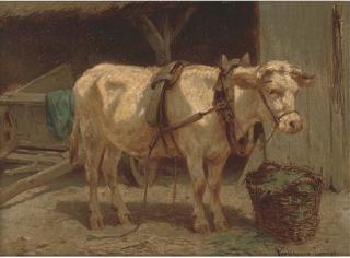 Wouter Verschuur Jnr. - A feed at the end of the day