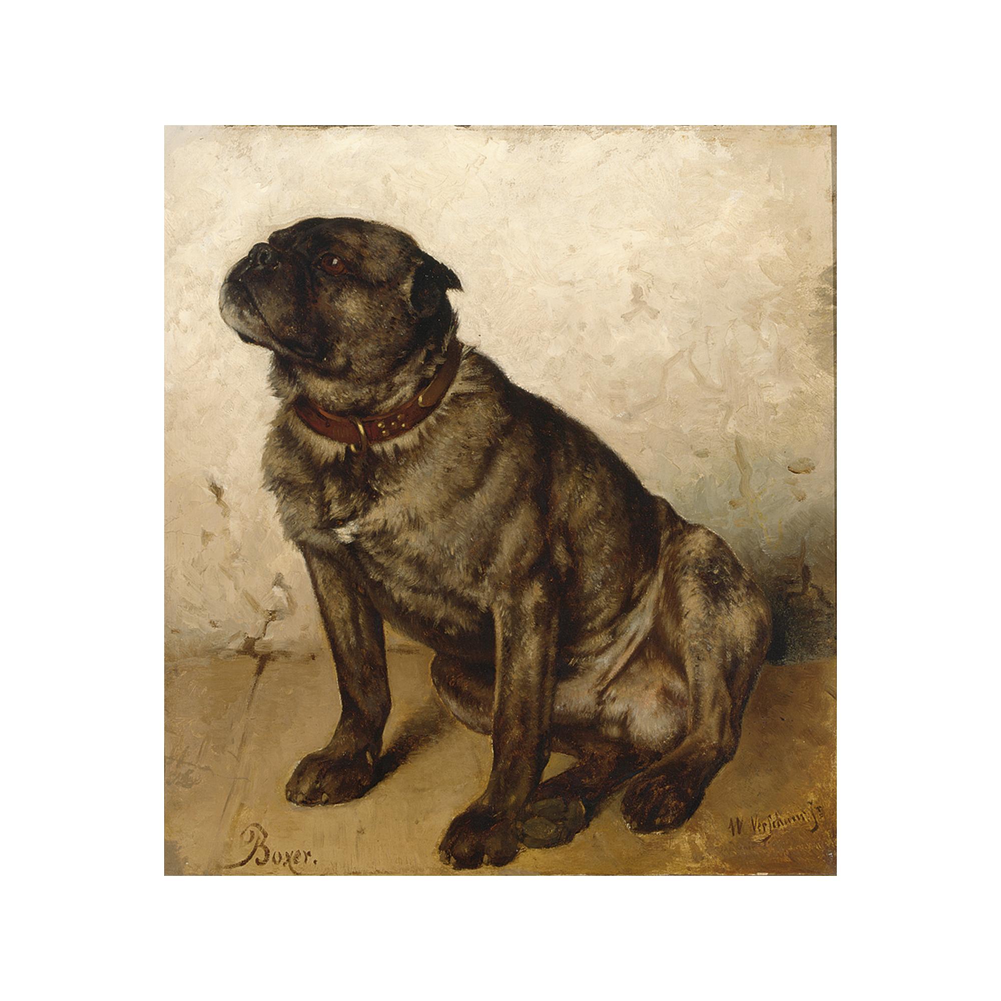 Wouterus Verschuur Jr. - \'Boxer\'
