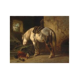 Wouterus Verschuur - A Grey Horse In A Stable