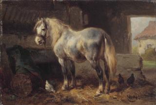 Wouterus Verschuur - A grey in a stable