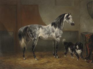 Wouterus Verschuur - In the stable