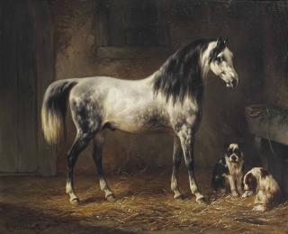 Wouterus Verschuur - True Companions